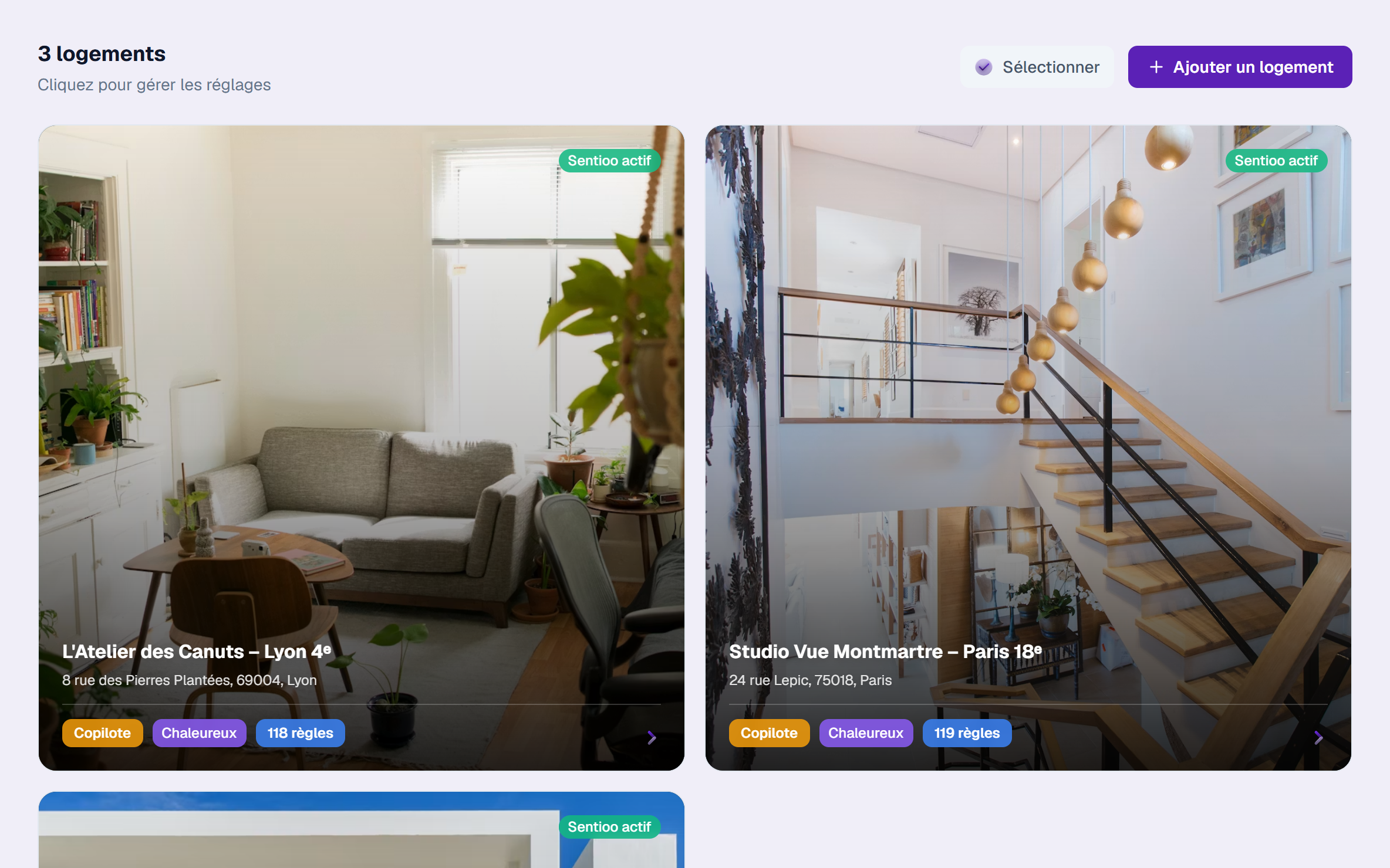 Des annonces rédigées pour chaque plateforme.